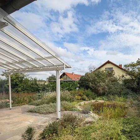 Pfaelzerdrachennest *