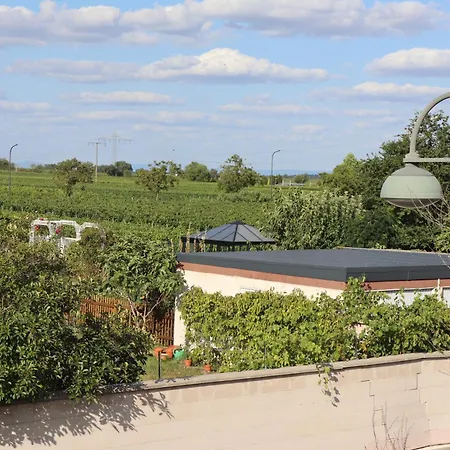 Pfaelzerdrachennest Apartman *