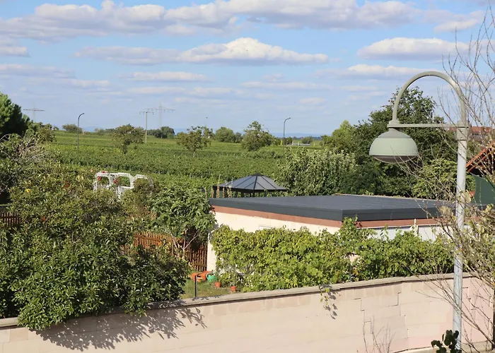 Pfälzerdrachennest Apartment *